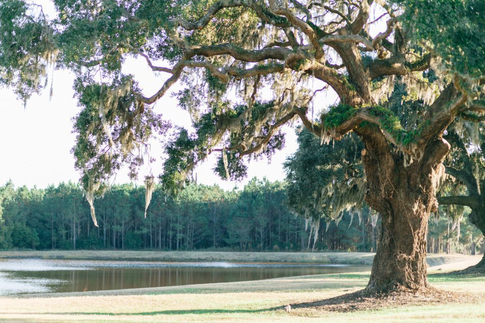 Oak Island Sc Wedding Venues Oak Island Sc Wedding Venues